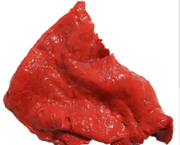 [118] BISTEC DE CERDO ADOBADO