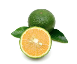 [818] LIMON MANDARINA